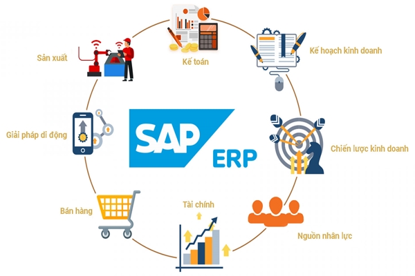 Những ứng dụng và lợi ích mà SAP mang lại cho doanh nghiệp
