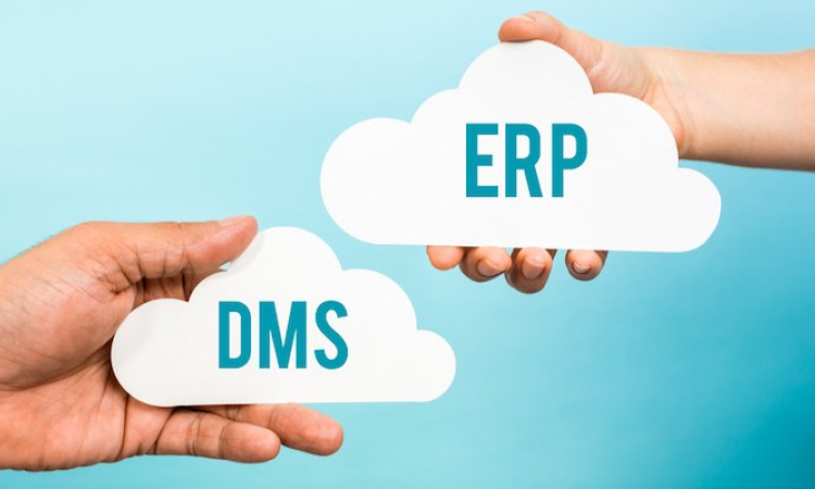 DMS và ERP là hai nền tảng được doanh nghiệp sử dụng phổ biến